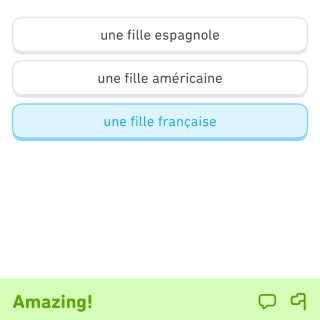 我的新年愿望·学好法语去法国玩儿...