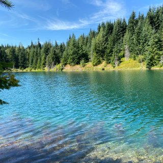 西雅图Gold Creek Pond 不...