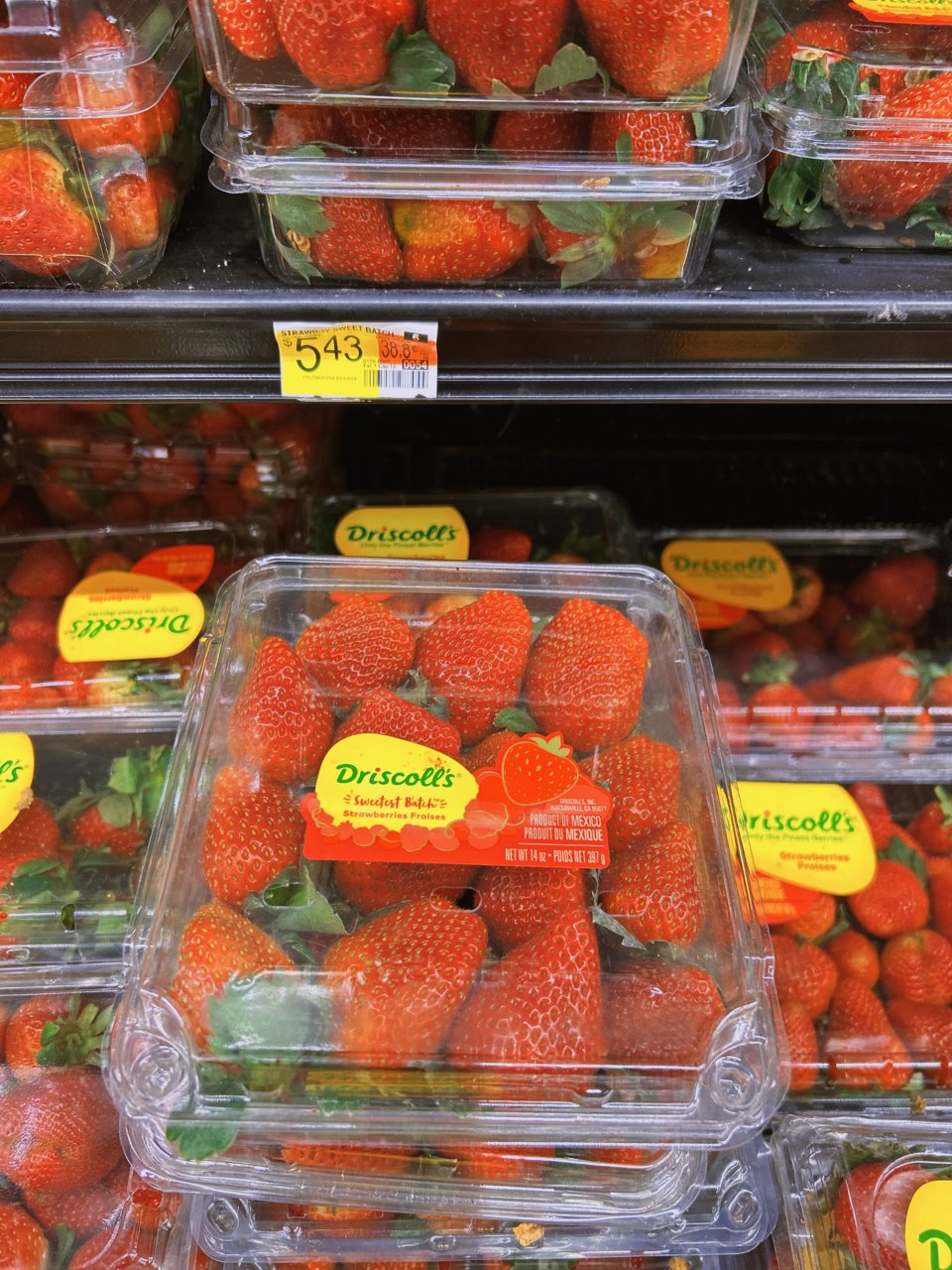 Walmart出息了🤩｜甜甜的草莓🍓🍓...