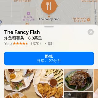 The Fancy Fish 