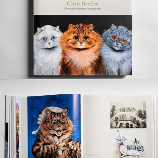刷了这部猫片｜立马下单这本可爱的猫书...