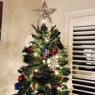 [Day 10] 我家圣诞树...