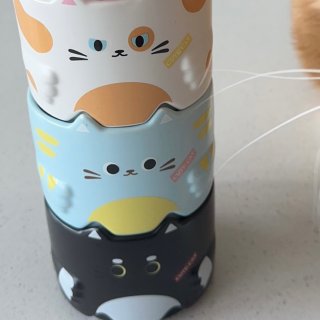 猫猫叠叠杯和小猫猫也太合适了吧！...