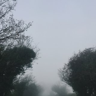 背景墙之一个人去旅行，爱尔兰的迷雾...