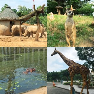 六福村主題遊樂園🎠動物園➕水陸遊樂設施的...
