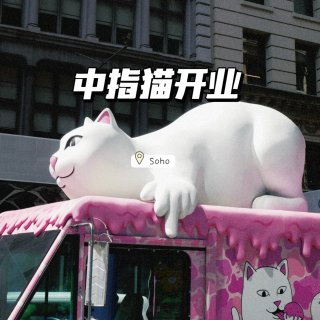 纽约Soho新店🔥可爱网红中指猫🐱Rip...