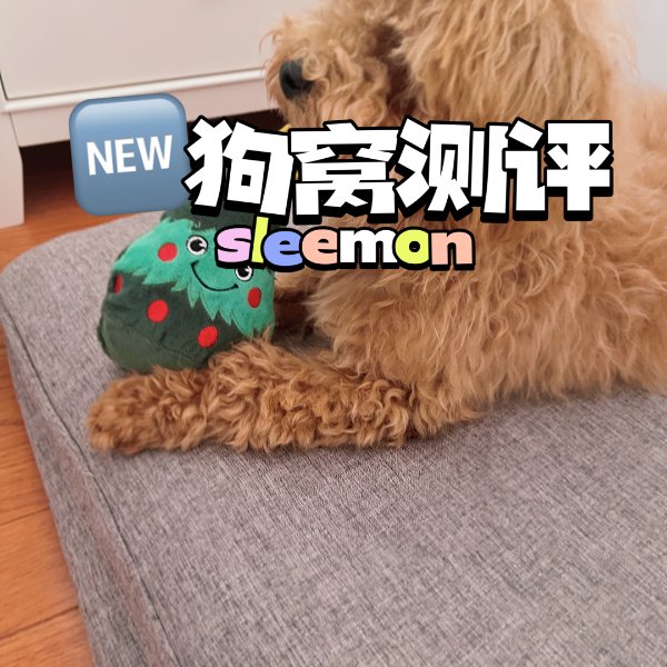 晒货图片