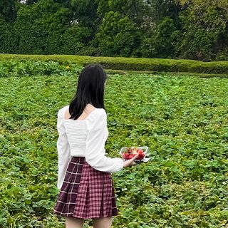 尔湾探店｜又是一年草莓季🍓来农场实现摘草...