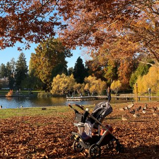 拍疯了，绿湖公园的王炸秋景...