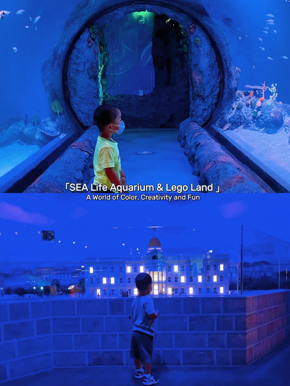 🐟探索奇妙的SEA Life水族馆和Le...