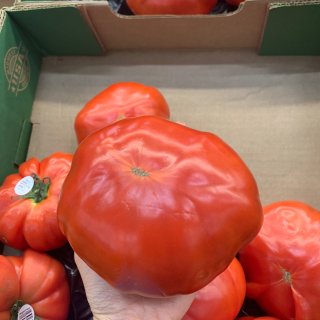 买到了手掌🖐️大的番茄🍅...