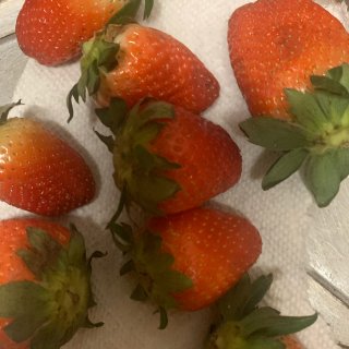糖草莓