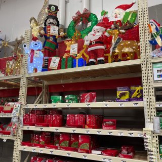 Home Depot必搶聖誕花🌹...