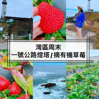 🌊灣區周末/一號公路游/燈塔/摘有機草莓...