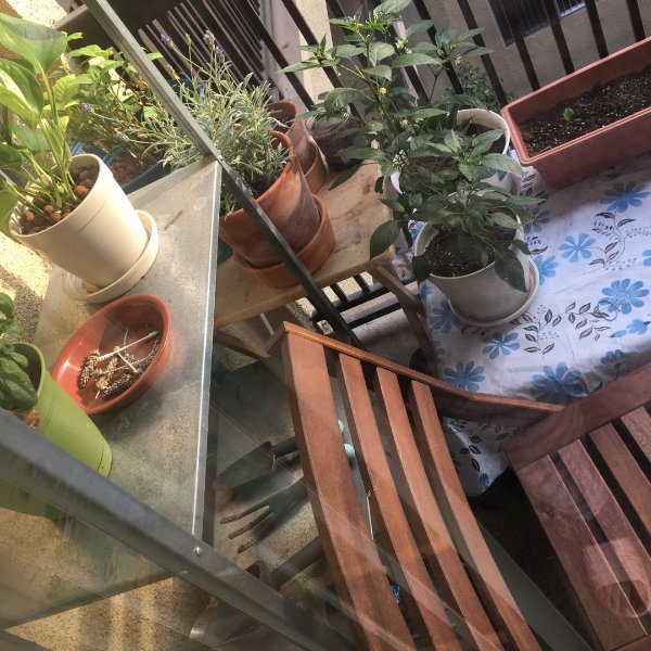 晒货图片