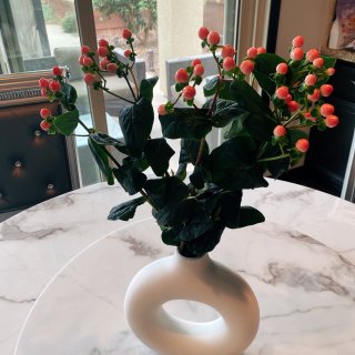 HM网红花瓶｜