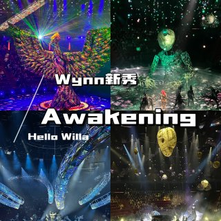Wynn新秀Awakening