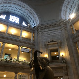 华盛顿历史自然博物馆...