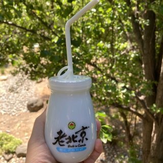 老北京酸奶 Beijing Yogurt