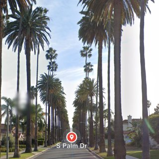 洛杉矶棕榈树🌴最佳拍摄地点...