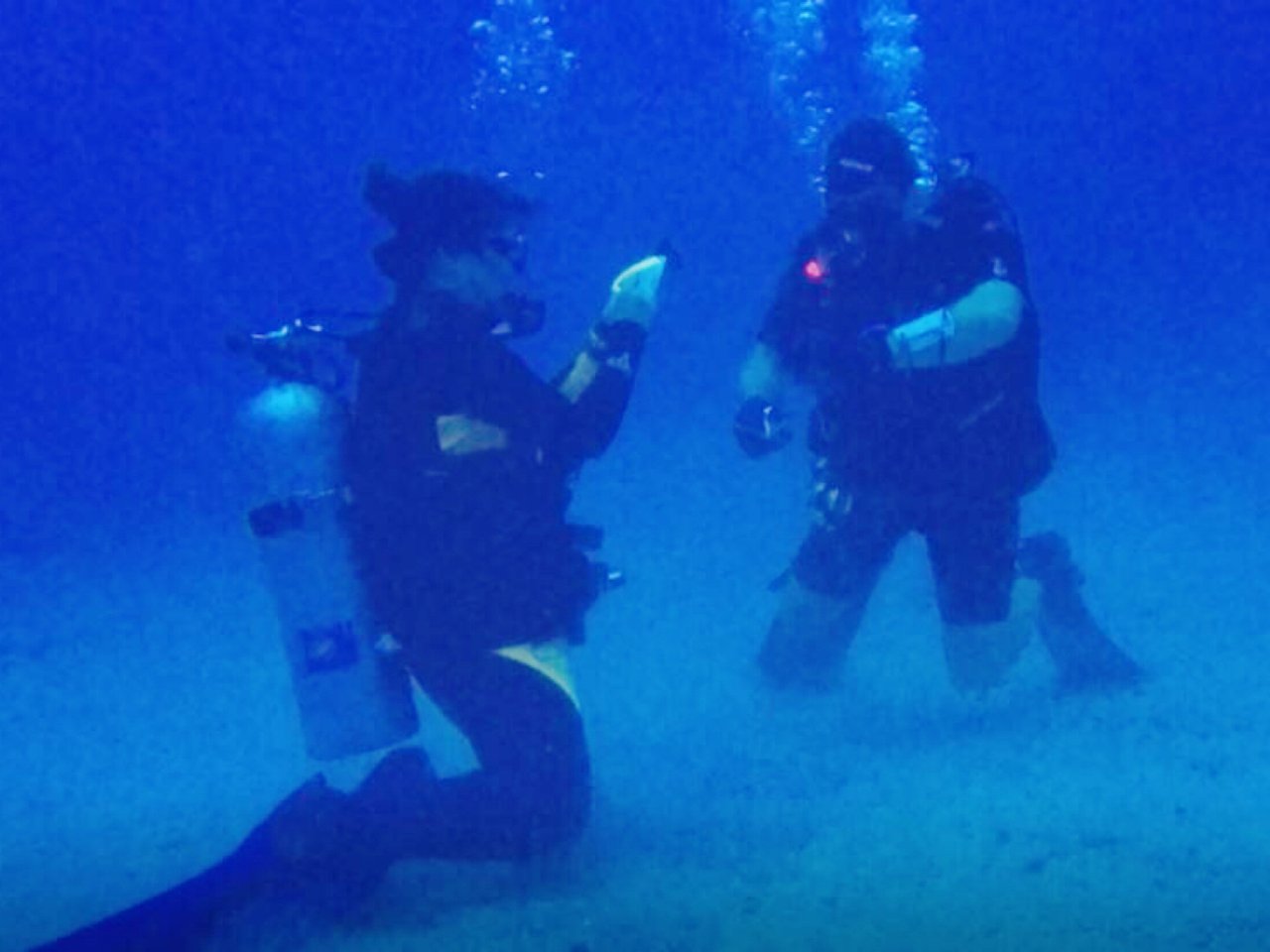 高级潜水证get✅和我一起探索水下世界...