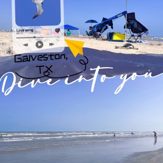 🏖️休斯顿Galveston：阳光沙滩海...