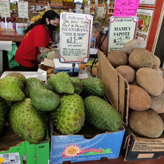 迈阿密👍偶遇5k多好评的水果农夫市场🥑比...
