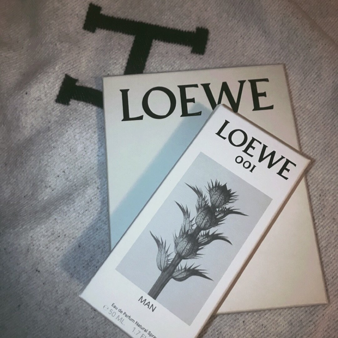 Loewe 罗意威
