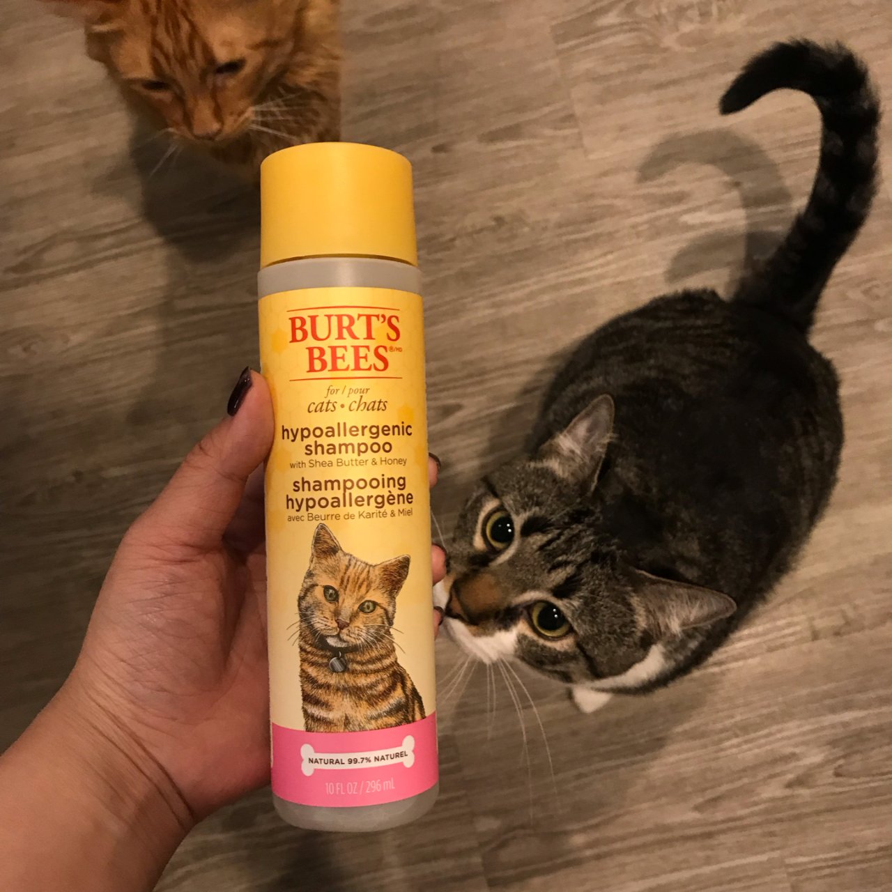 猫猫shampoo推荐～Burt’s B...