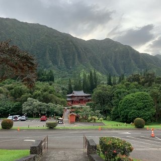 夏威夷日本神庙🍍梦回京都...