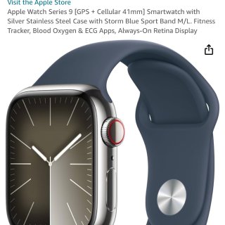 Apple watch不锈钢bug价｜深...