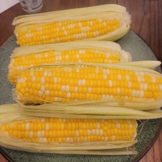 兩種顏色的玉米...
