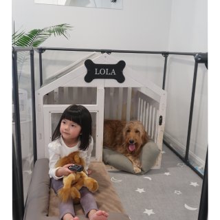 【Lola 的新床】喜临门可拆洗Dog ...