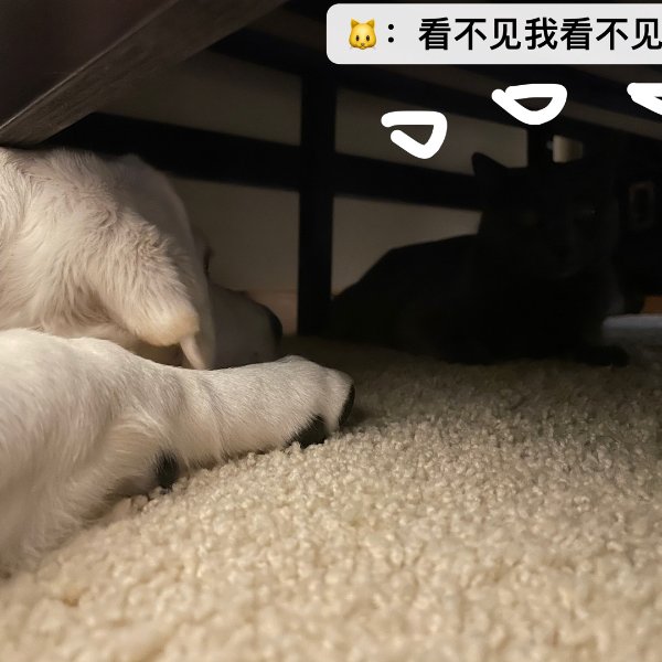 晒货图片