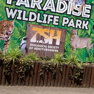 Paradise wildlife pa...