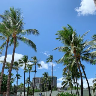 夏威夷欧胡岛-火热的waikiki沙滩🏖...