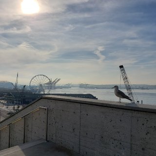 西雅图：Pike 码头...