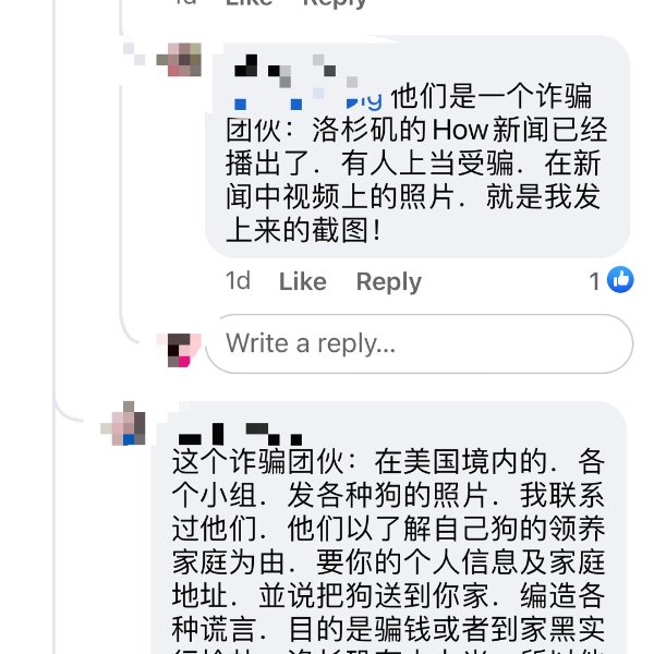 晒货图片