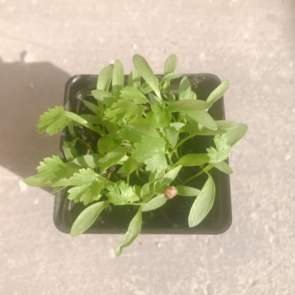 晒货图片