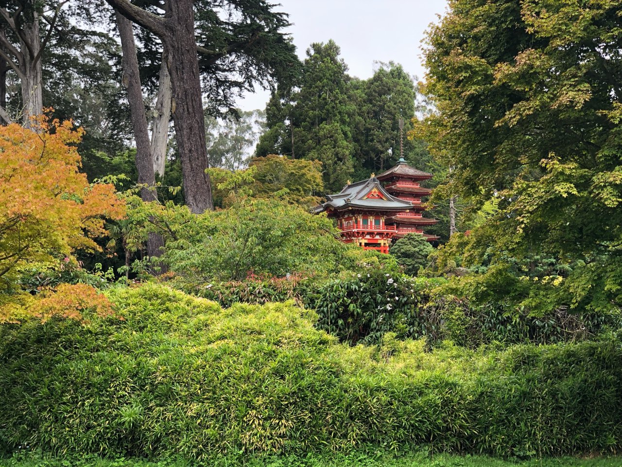 金门公园-日本茶园...