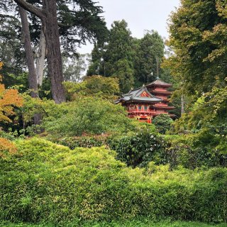 金门公园-日本茶园...