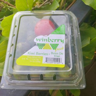 奇妙又美味的Kiwi Berries...