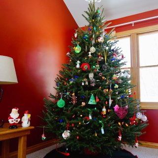 圣诞树🎄农场｜砍树➕扛树回家，需要家里的...