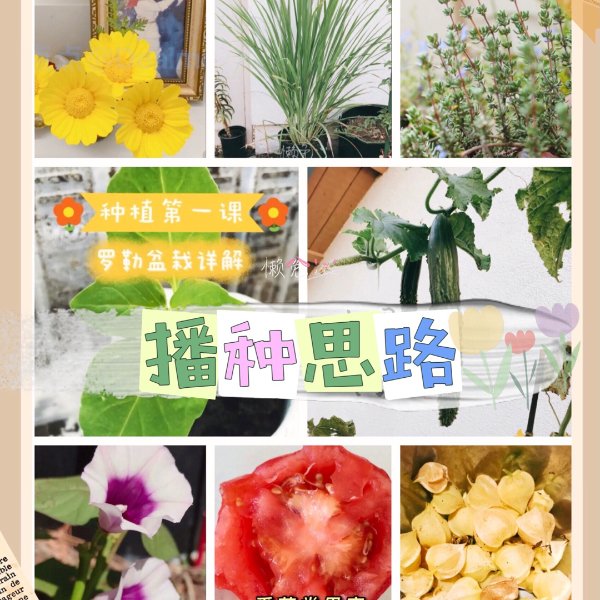 晒货图片