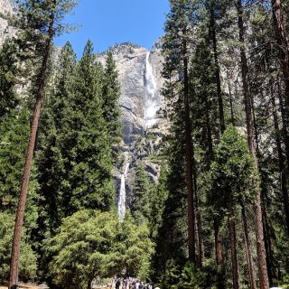 加州必探訪之优胜美地Yosemite...