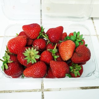 逛吃逛吃 7⃣ 摘草莓🍓...