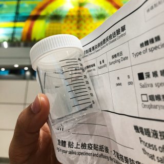 臨時回台北啦～🧳✈️入境台灣的檢疫流程...