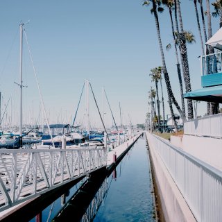 LA｜长滩码头旁的海景餐厅🥂喝酒吃虾吹海...