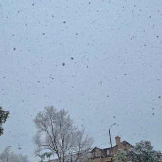 加州地区下雪❄️...