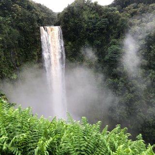 大岛Hilo附近的akaka falls...